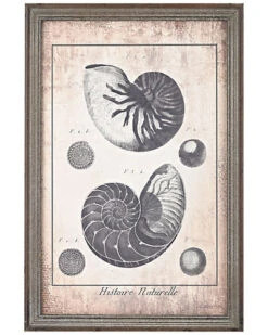 Shell Print In Green