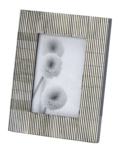Pin Stripe 4x6 Bone Frame