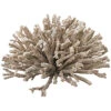 Briar 7in Array Sculpture -Ruelala 3050424614 RLLD 1