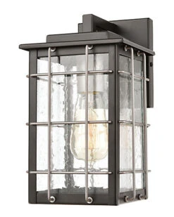 Brewster 1-Light Sconce