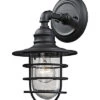 Vandon 1-Light Outdoor Wall Lamp -Ruelala 3050455217 RLLD 1