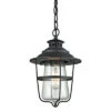 San Mateo 1-Light Outdoor Pendant -Ruelala 3050455221 RLLD 1