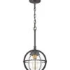 Davenport 1-Light Hanging -Ruelala 3050455223 RLLD 1