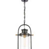 Wexford 1-Light Hanging -Ruelala 3050455226 RLLD 1