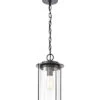 Devonshire 1-Light Hanging -Ruelala 3050455230 RLLD 1