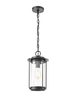 Devonshire 1-Light Hanging