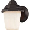 1-Light Outdoor Wall Sconce -Ruelala 3050614945 RLLD 1