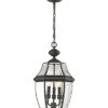 Ford 3-Light Outdoor Pendant 1 Ford 3-Light Outdoor Pendant -Ruelala 3050614959 RLLD 1