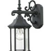 Spring Lake 1-Light Outdoor Wall Sconce -Ruelala 3050615077 RLLD 1