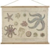 Sea Life Tapestry -Ruelala 3050679684 RLLD 1