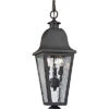 3-Light Forged Brookridge Outdoor Pendant 2 3-Light Forged Brookridge Outdoor Pendant -Ruelala 3050730847 RLLD 1
