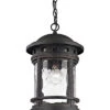 1-Light Costa Mesa Outdoor Pendant