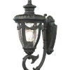 1-Light Anise Outdoor Sconce