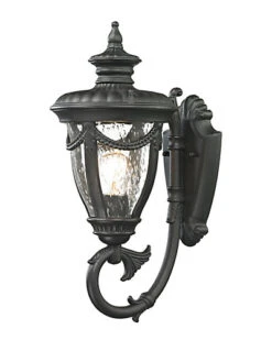 1-Light Anise Outdoor Sconce