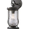 1-Light Farmstead Outdoor Sconce