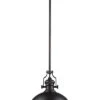 Chadwick 1-Light Pendant -Ruelala 3050769300 RLLD 1