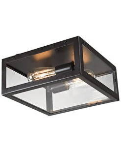 2-Light Parameters Flush Mount